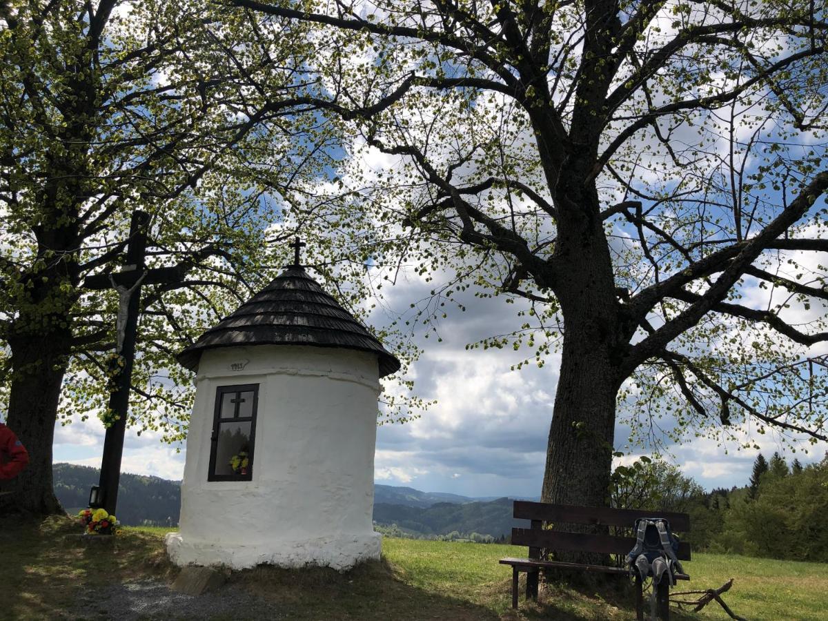 Horská chalupa Pluskovjanka Velké Karlovice Exterior foto